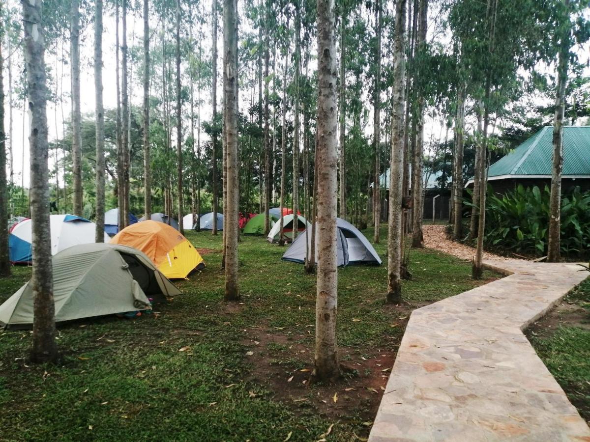 Murchison Backpackers Masindi Exterior foto